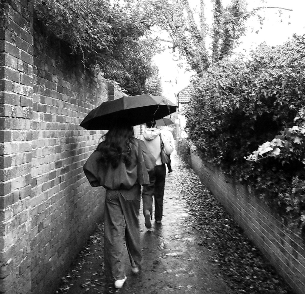 Everything’s Going to&nbsp;Sh*t.